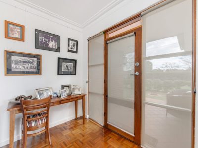 Screen Roller Blinds