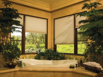 Vertical Honeycomb Blind Vertical Honeycomb Blind